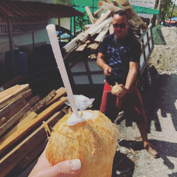 コスタリカ・カルタゴ「動物昆虫自然の宝庫コスタリカ！！」の写真：オサ　マングローブツアー

ここで飲んだ...