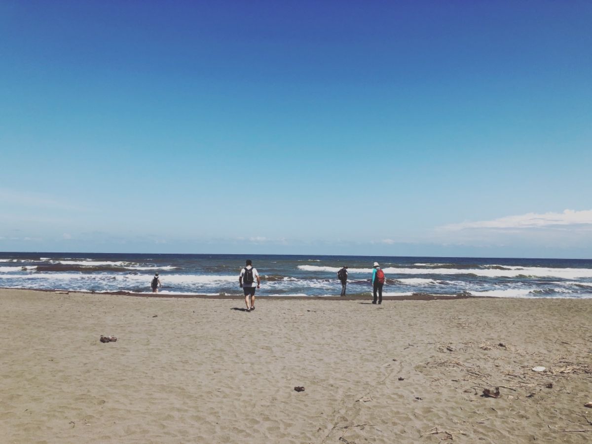 トルトゥゲロ国立公園

この国立公園はウミガメの産卵が見れる場所として有名...