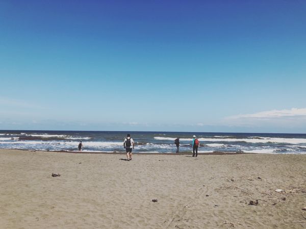 コスタリカ・カルタゴ「動物昆虫自然の宝庫コスタリカ！！」の写真：トルトゥゲロ国立公園

この国立公園はウ...