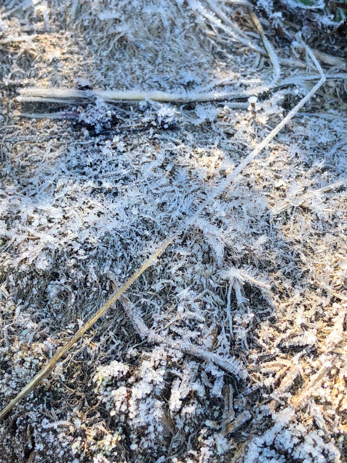 Irazu Crater Lookout Point Mirador de...