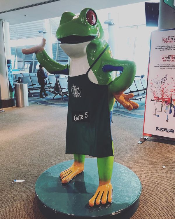 コスタリカ・カルタゴ「動物昆虫自然の宝庫コスタリカ！！」の写真：ファン・サンタマリーア国際空港

小さな...