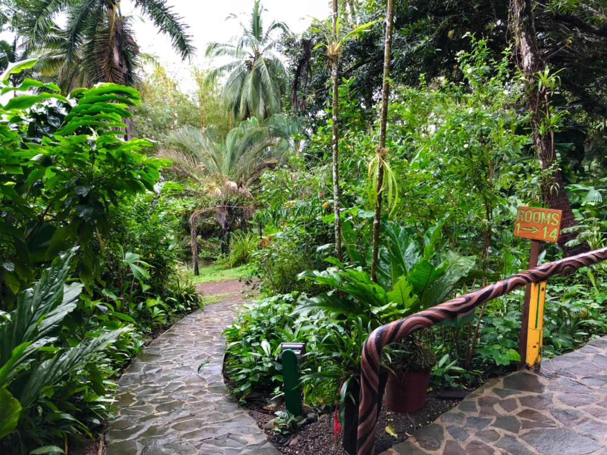 Aguila de Osa

ホテルの庭園