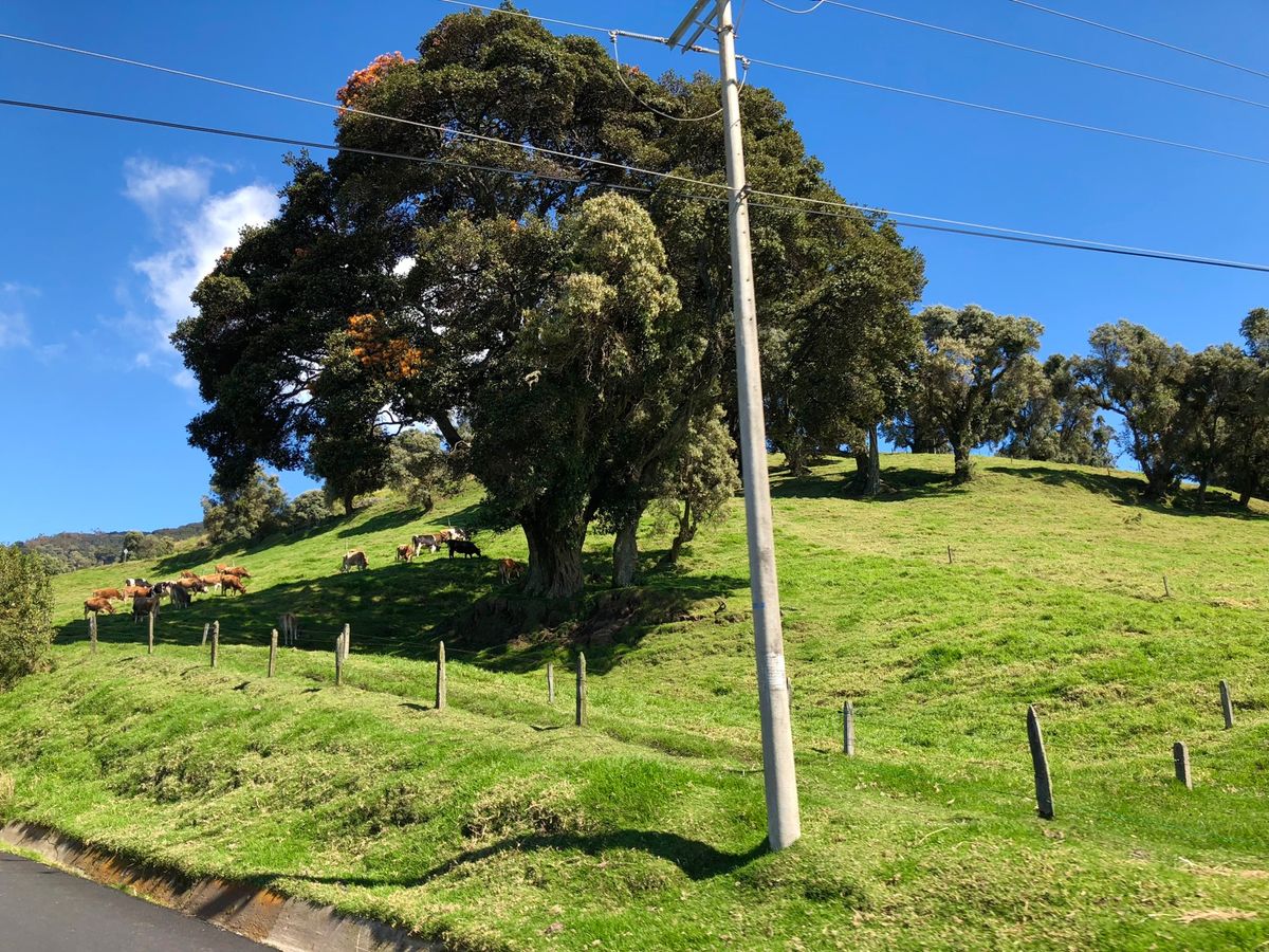 イスラ山

麓には民家もあったし
家畜もたくさんいたよ🐂