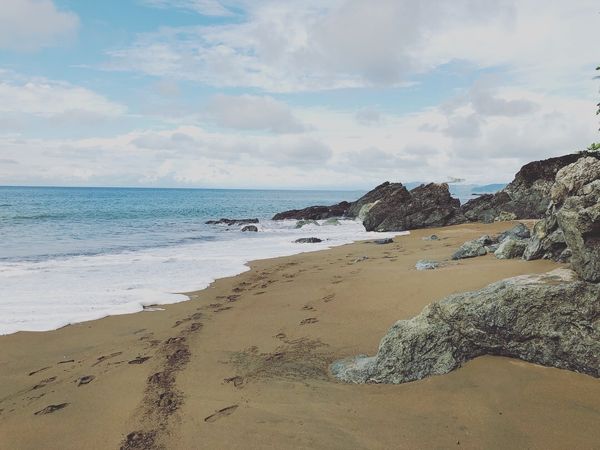 コスタリカ・カルタゴ「動物昆虫自然の宝庫コスタリカ！！」の写真：オサ　Drake Trail

乗馬の折...