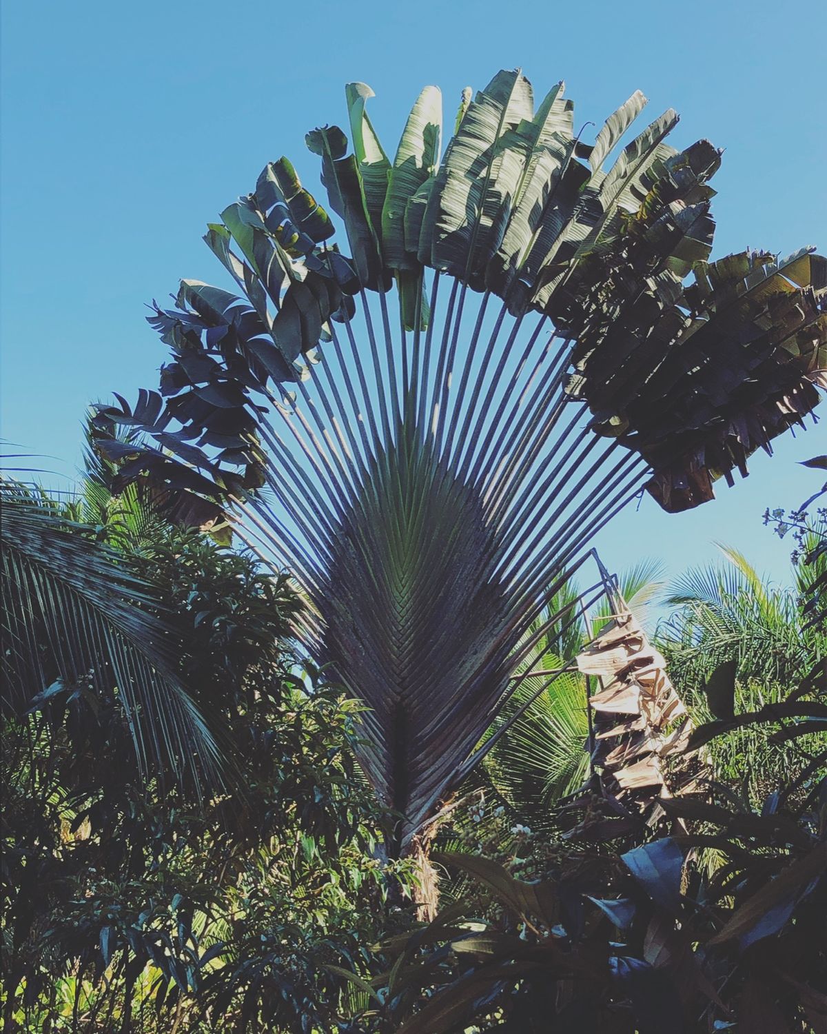 トルトゥゲロ国立公園

廃材が利用されて公園の遊具みたいなのがたくさん作ら...