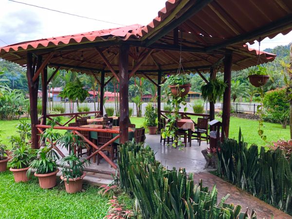 コスタリカ・カルタゴ「動物昆虫自然の宝庫コスタリカ！！」の写真：Restaurante Rancho R...