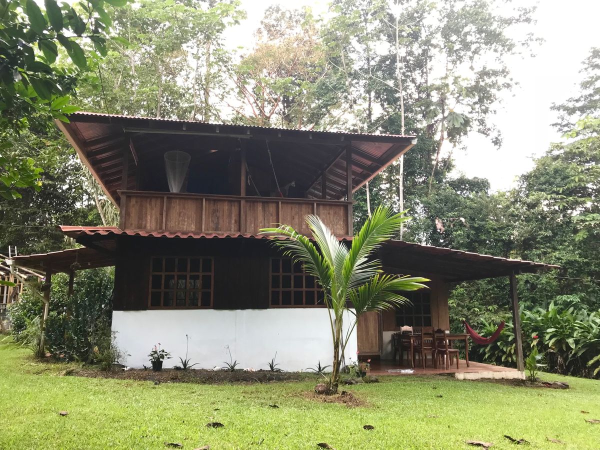 Corcovado Backpackers

宿の庭にトゥーカンが！！🤩
...