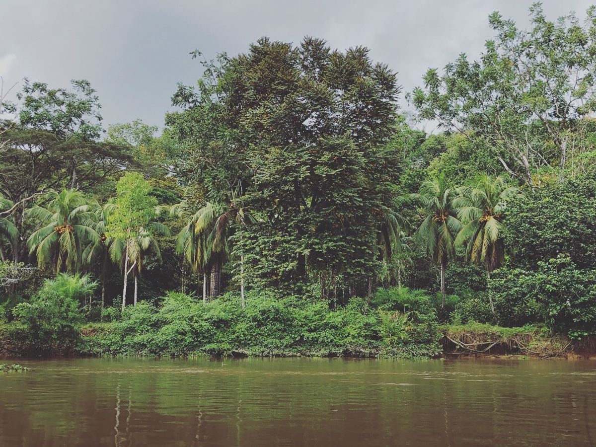 オサ　マングローブツアー

進むと南国感が強くなってきた🌴
鳥もいたよ！