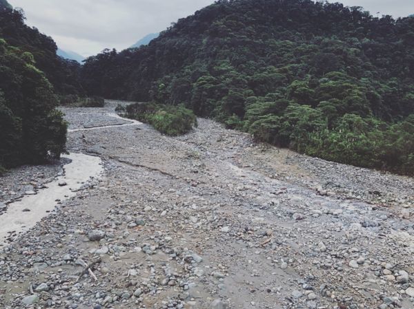 コスタリカ・カルタゴ「動物昆虫自然の宝庫コスタリカ！！」の写真：ブラウリオ・カリージョ国立公園の区域内に...
