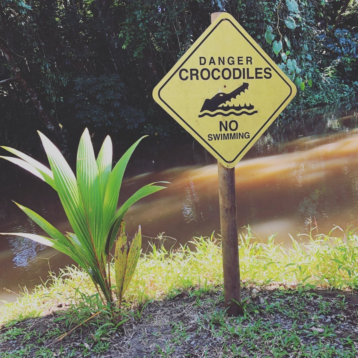 トルトゥゲロ国立公園

廃材が利用されて公園の遊具みたいなのがたくさん作ら...