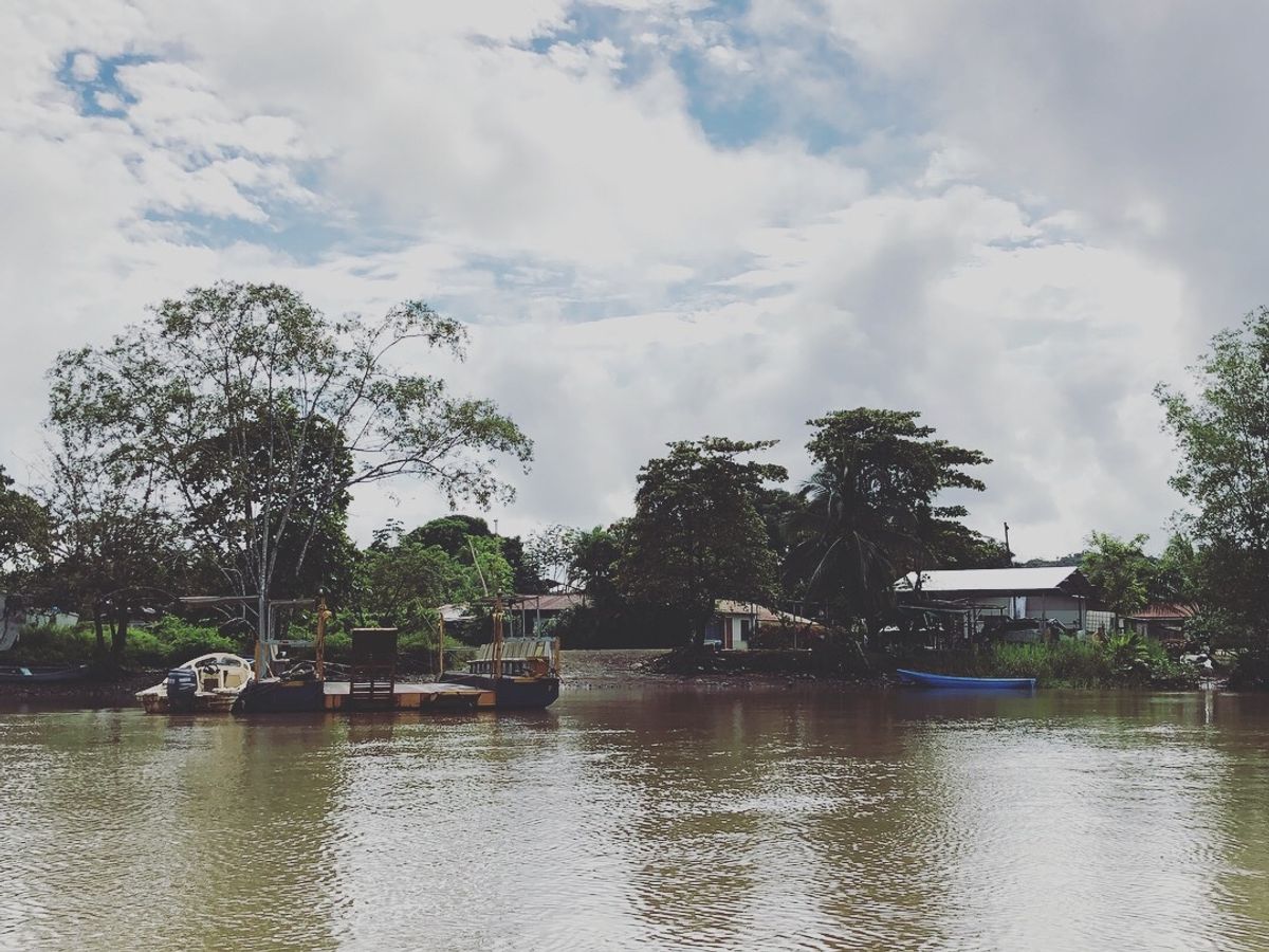 オサ　マングローブツアー

マングローブの景色、なんだか好きだなぁ😍