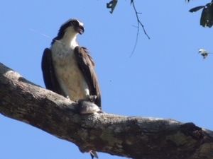 これらの写真も
1DAYツアー中に仲良くなった
どっかの国のカメラ好きのお...
