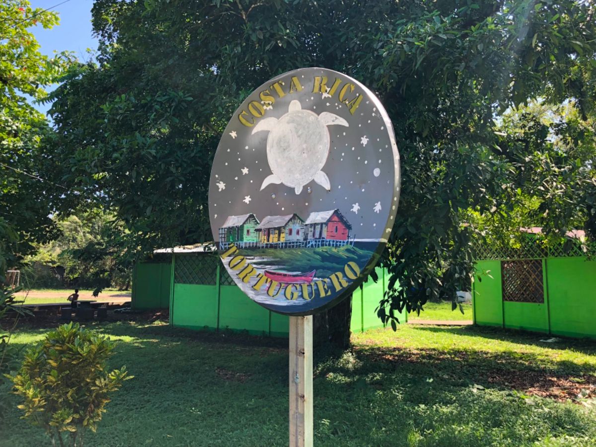 トルトゥゲロ国立公園

ハチドリは本当に小さくてホバリングしてて感動〜😍