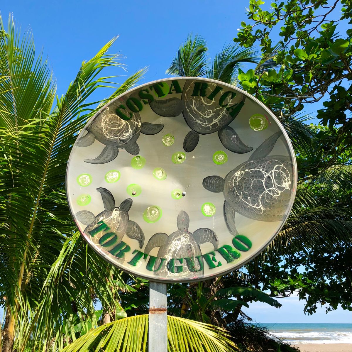 トルトゥゲロ国立公園

ハチドリは本当に小さくてホバリングしてて感動〜😍