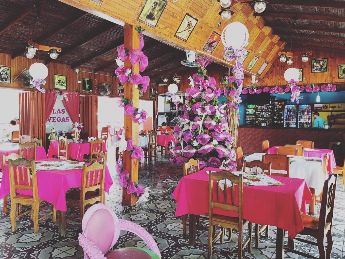 オサ　マングローブツアー

ここで飲んだココナッツジュース
甘くて濃厚で
...