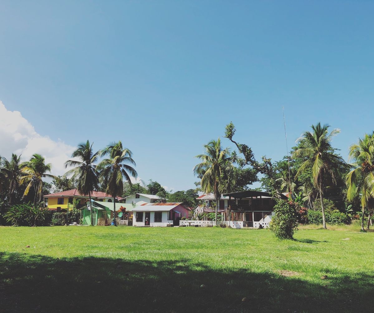 トルトゥゲロ国立公園

この国立公園はウミガメの産卵が見れる場所として有名...