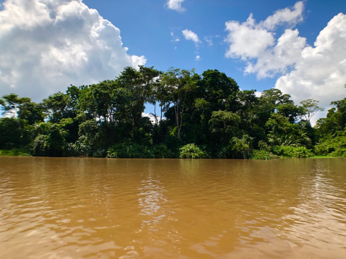 トルトゥゲロ国立公園

ここは２つの川が合流しているところで
水質が違うか...