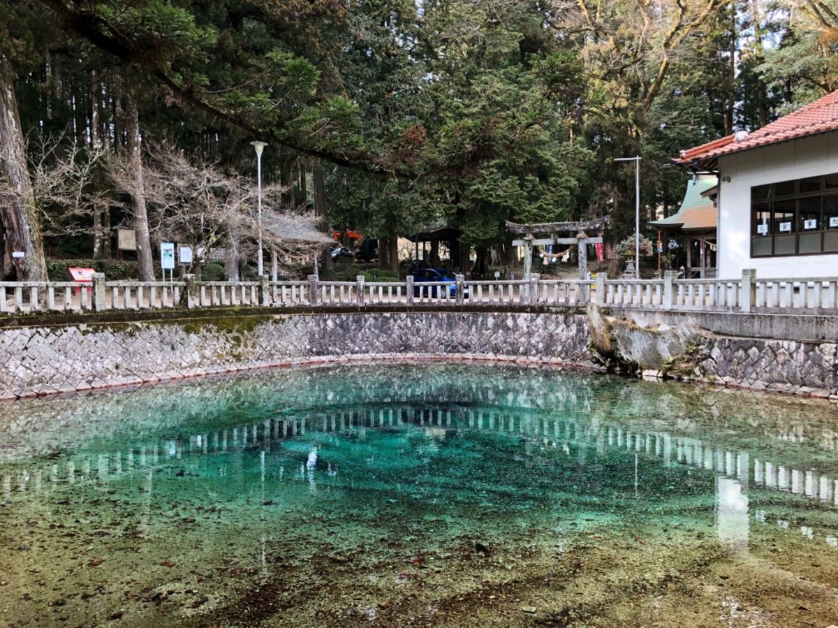 別府弁天池湧水

澄んだ水が青緑色や紅色に輝いていて綺麗でした！
