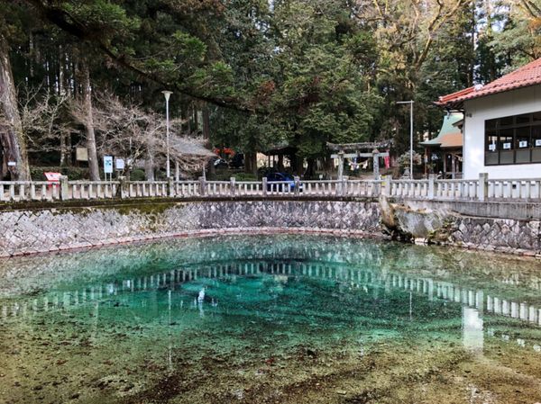 日本・山口県「ゆるりと山口」の写真：別府弁天池湧水

澄んだ水が青緑色や紅色...