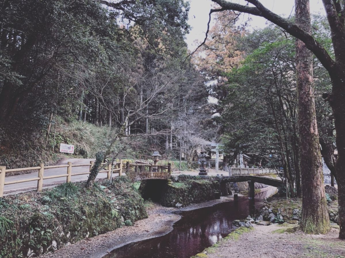 別府弁天池湧水

澄んだ水が青緑色や紅色に輝いていて綺麗でした！
