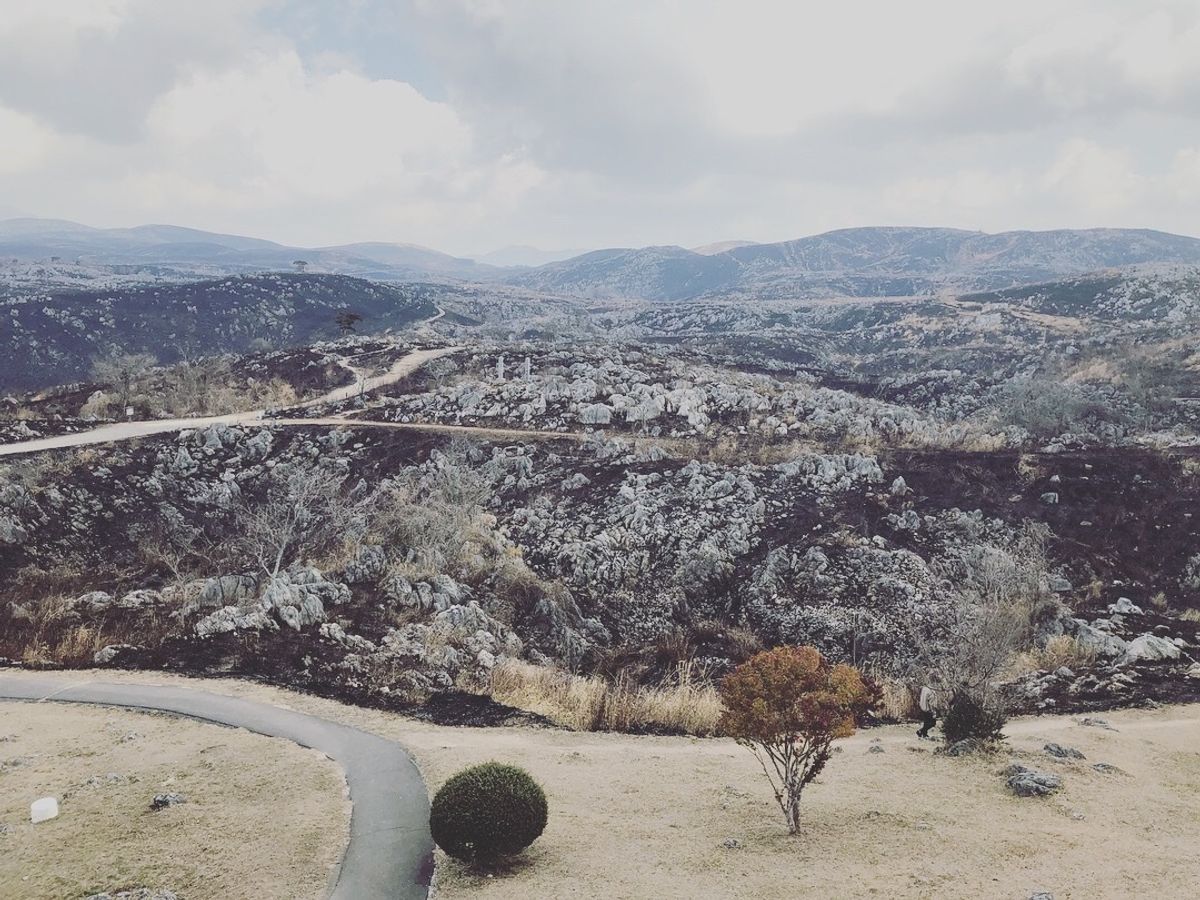 このときまで意外と行ったことのなかった秋吉台

とにかく寒かった！