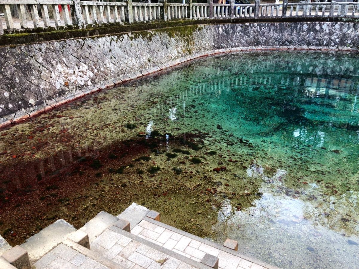 別府弁天池湧水

澄んだ水が青緑色や紅色に輝いていて綺麗でした！