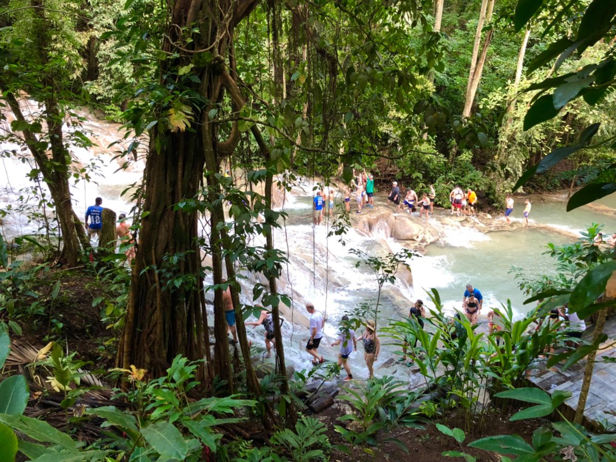 ダンズ・リバー・フォールズ & パーク

ここでは滝登りが楽しめる

ただ...