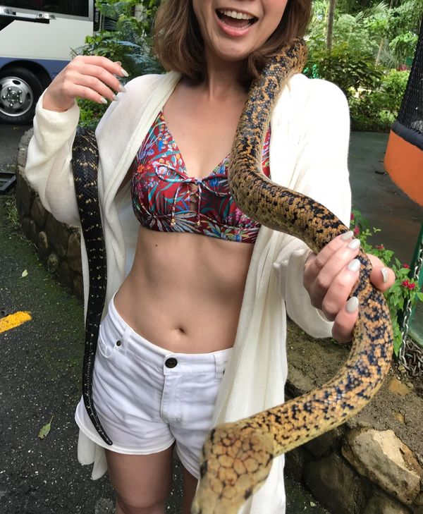 ジャマイカ・モンテゴベイ「カリブ海クルーズで周遊」の写真：Konoko Falls

動物達をたく...