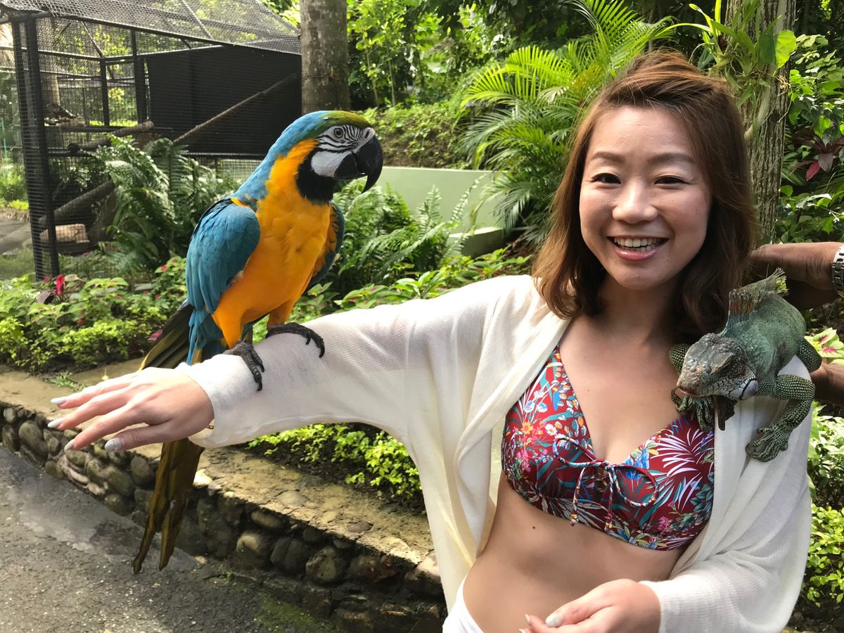Konoko Falls

動物達をたくさん肩に乗せられて
テンション爆上...