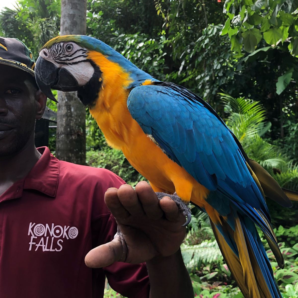 Konoko Falls

可愛いすぎる動物達
時間が許すなら
もっと愛で...