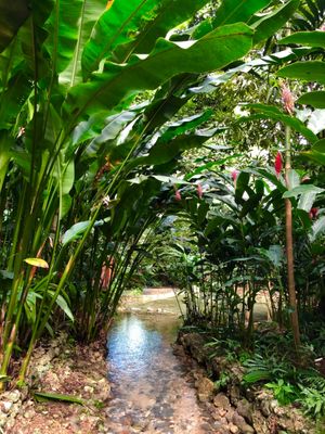 Konoko Falls

滝登りのあとは
そのまま動植物園へ

園内はま...