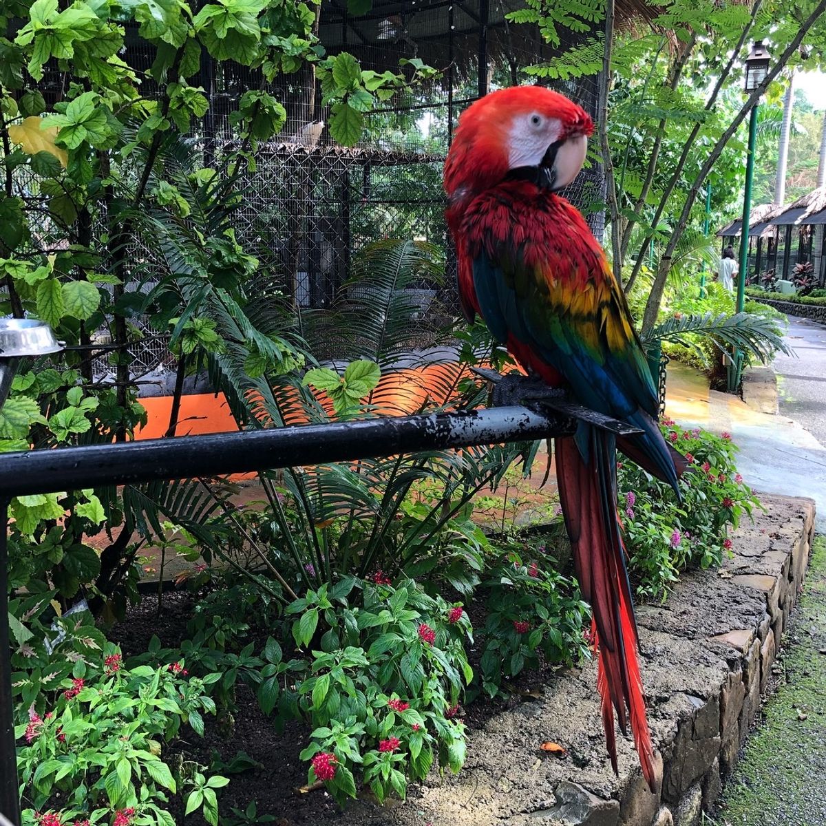 Konoko Falls

可愛いすぎる動物達
時間が許すなら
もっと愛で...