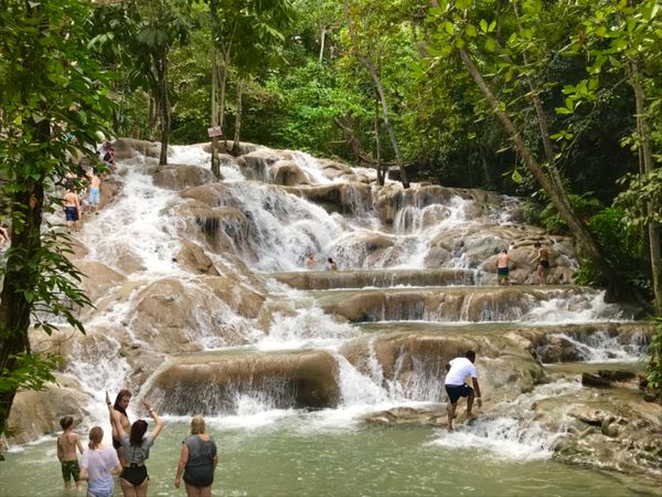 ジャマイカ・モンテゴベイ「カリブ海クルーズで周遊」の写真：ダンズ・リバー・フォールズ &amp; パーク
...