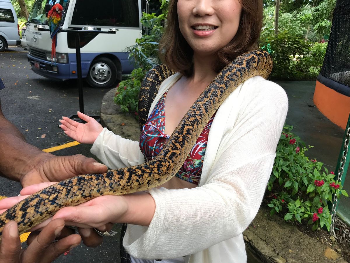 Konoko Falls

動物達をたくさん肩に乗せられて
テンション爆上...