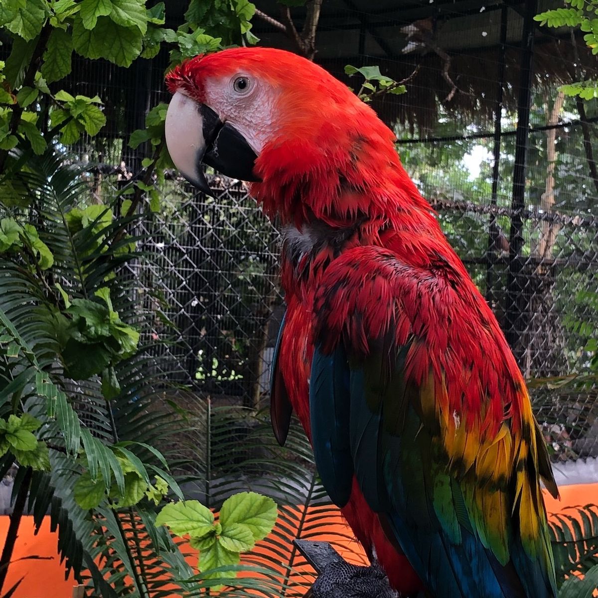 Konoko Falls

可愛いすぎる動物達
時間が許すなら
もっと愛で...