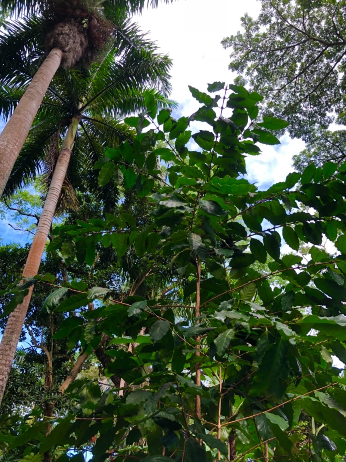Konoko Falls

滝登りのあとは
そのまま動植物園へ

園内はま...