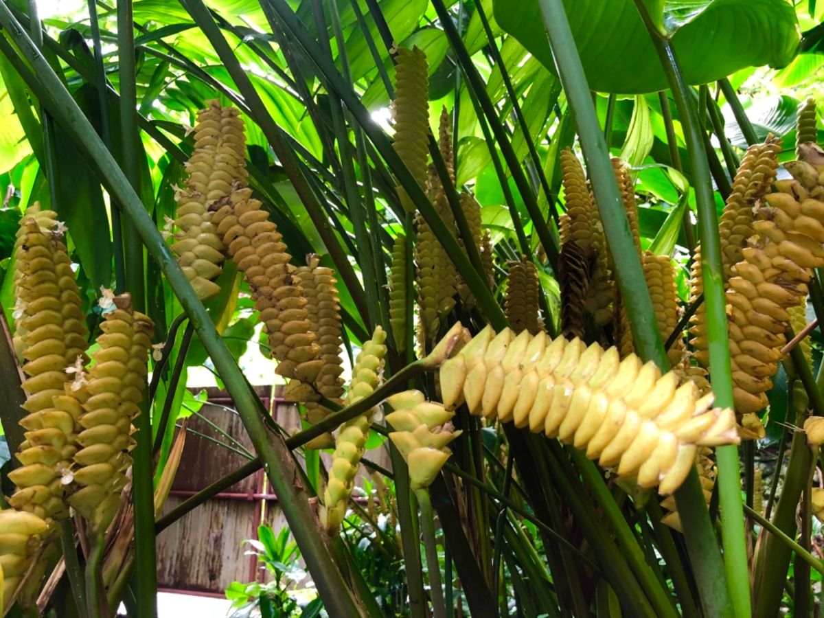 Konoko Falls

滝登りのあとは
そのまま動植物園へ

園内はま...