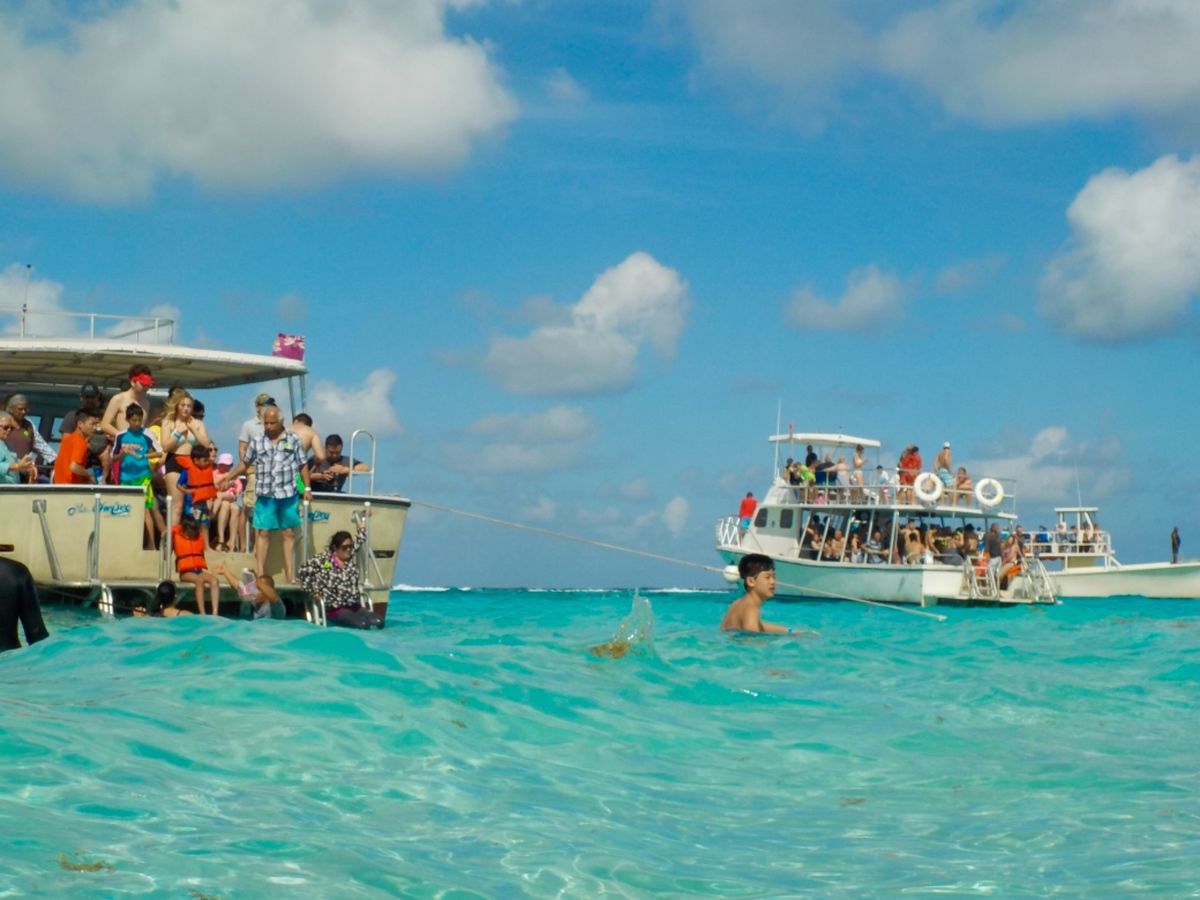 スティングレイは尻尾のところに毒棘があるから
必ず頭が自分の方を向くように...