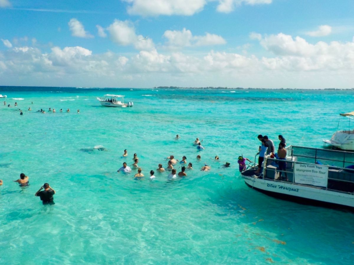 スティングレイとの触れ合いツアー

ヘッポコ水中カメラ📸しか持ってなかった...