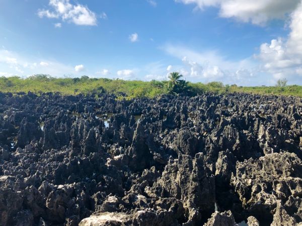 ケイマン諸島「カリブ海クルーズで周遊！」の写真：Hell, Grand Cayman

...