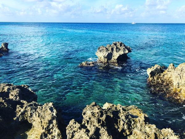 ケイマン諸島「カリブ海クルーズで周遊！」の写真：タートルセンターの向かいの海は
すでにウ...