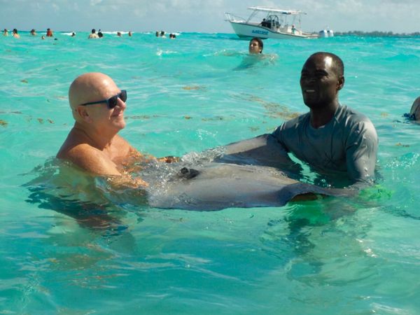 ケイマン諸島「カリブ海クルーズで周遊！」の写真：スティングレイは尻尾のところに毒棘がある...