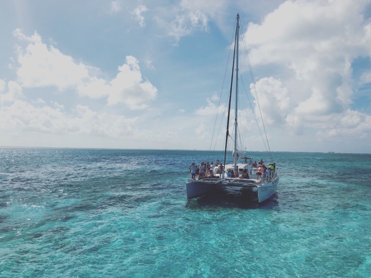 スティングレイとの触れ合いツアー
スティングレイは毒棘があるエイを指すらし...