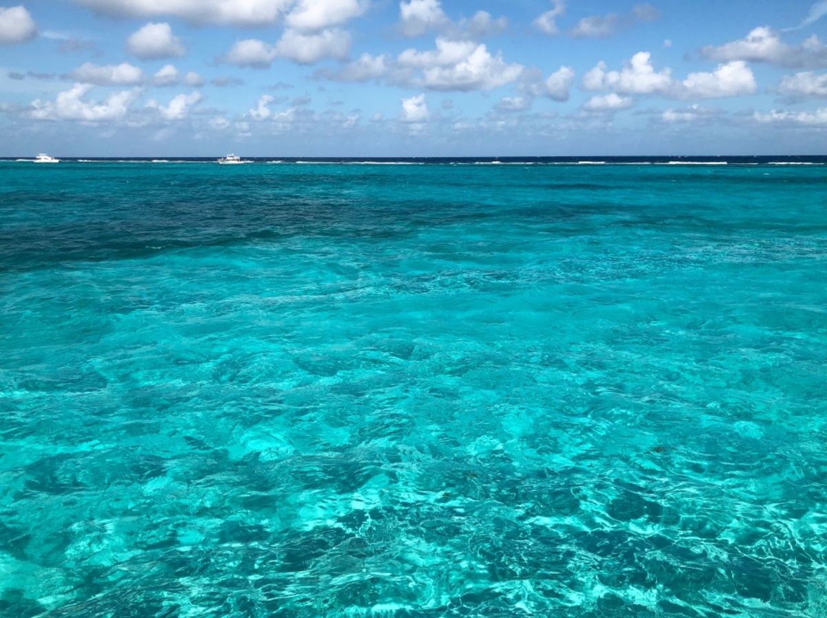 スティングレイとの触れ合いツアー
スティングレイは毒棘があるエイを指すらし...