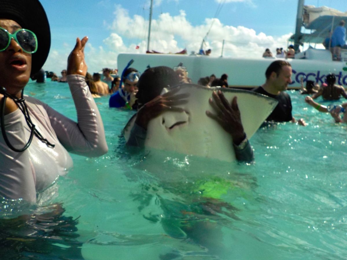 エイの口を間近で見せてもらった
口がこんなところにあるなんて知らなかったな...