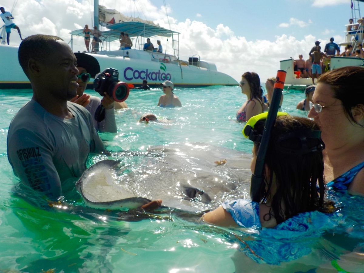 スティングレイは尻尾のところに毒棘があるから
必ず頭が自分の方を向くように...