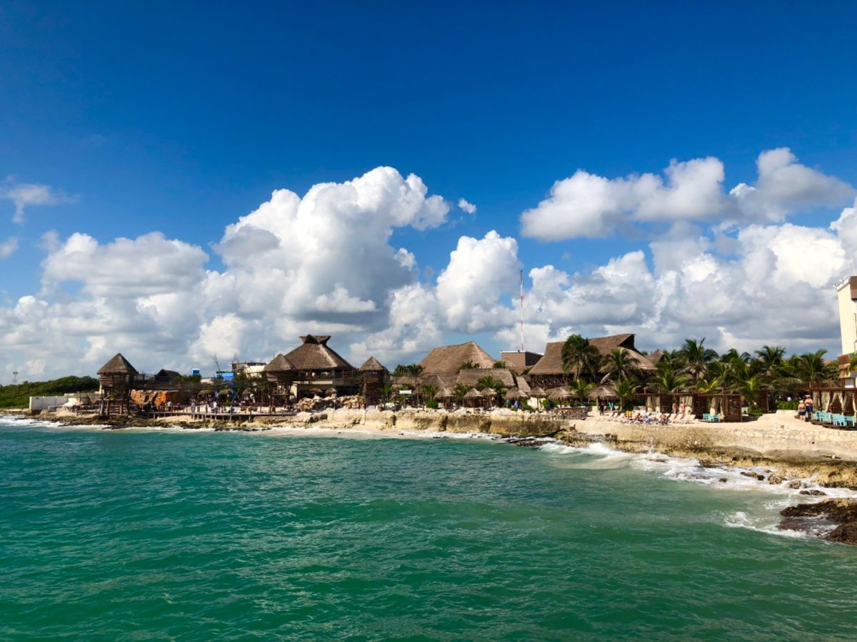 人形かと思いきや
本物🦩だった