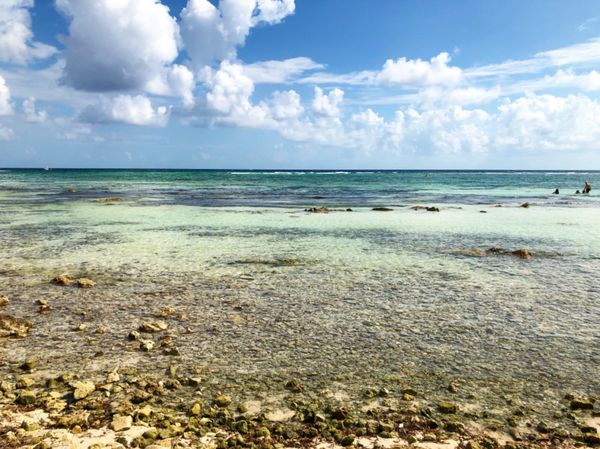 メキシコ・コスタ・マヤ「カリブ海クルーズで周遊！」の写真：マアウアル・ビーチのちょっと北側

南側...