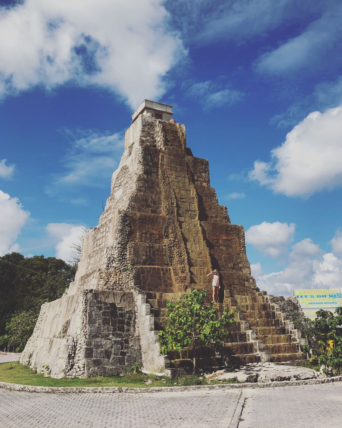 コスタ・マヤ Costa Maya

ちょっと歩くとあちこちにイグアナいる🦎