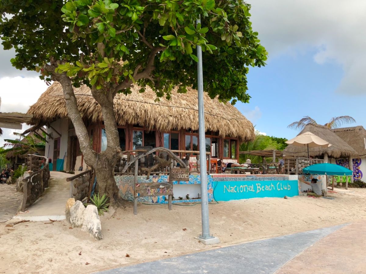 トイレまで南国仕様で可愛かった🏝

ビーチの側にはキャンプできるスペースも...
